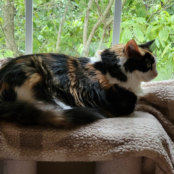 Meet your Posher, Deshante - Picture 6 of 8